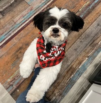 chewy