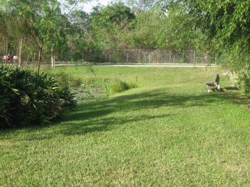 The Shih Tzu Rescue sanctuary